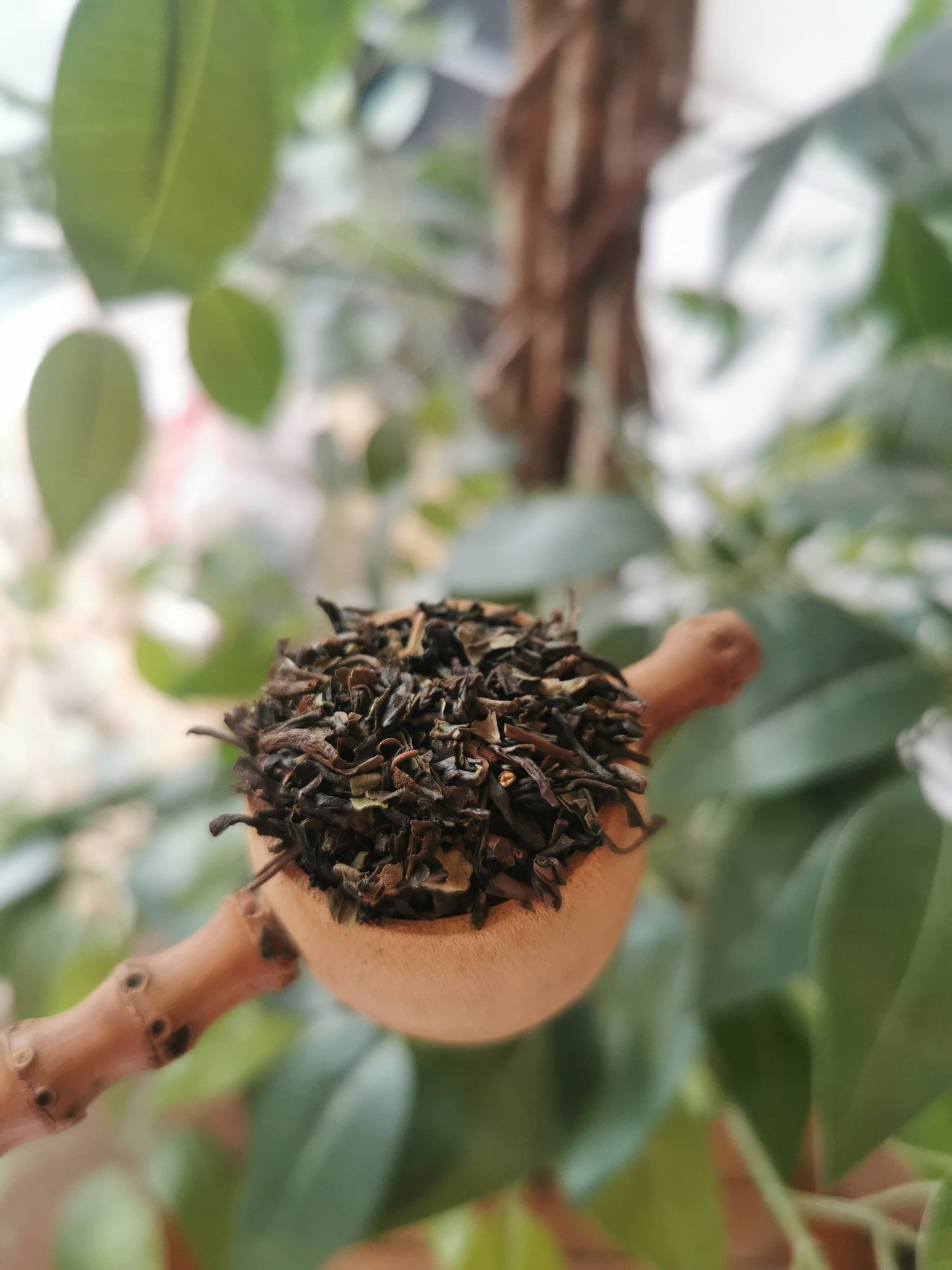 Black Tea - Meadow Tea