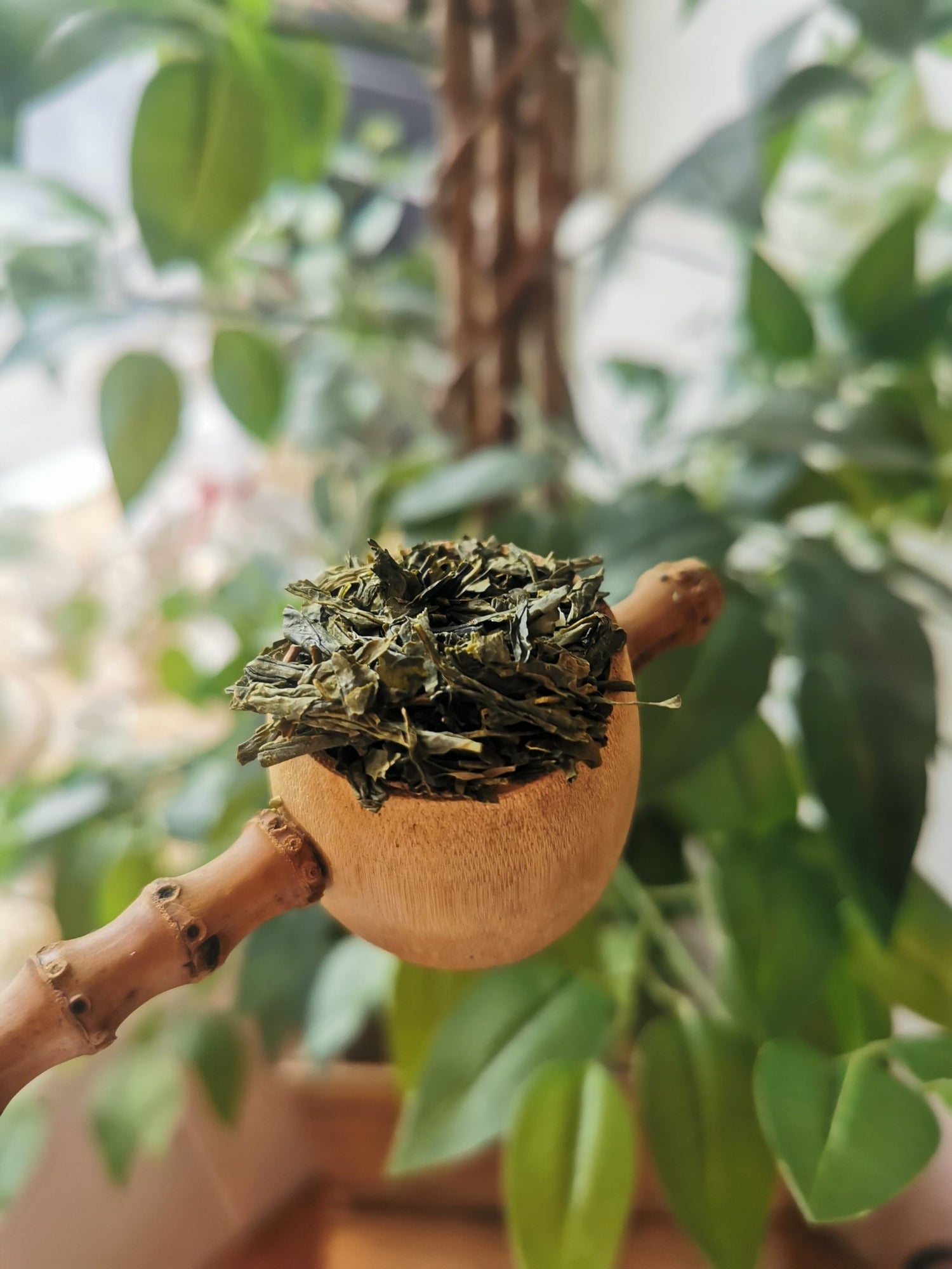 Green Tea - Meadow Tea