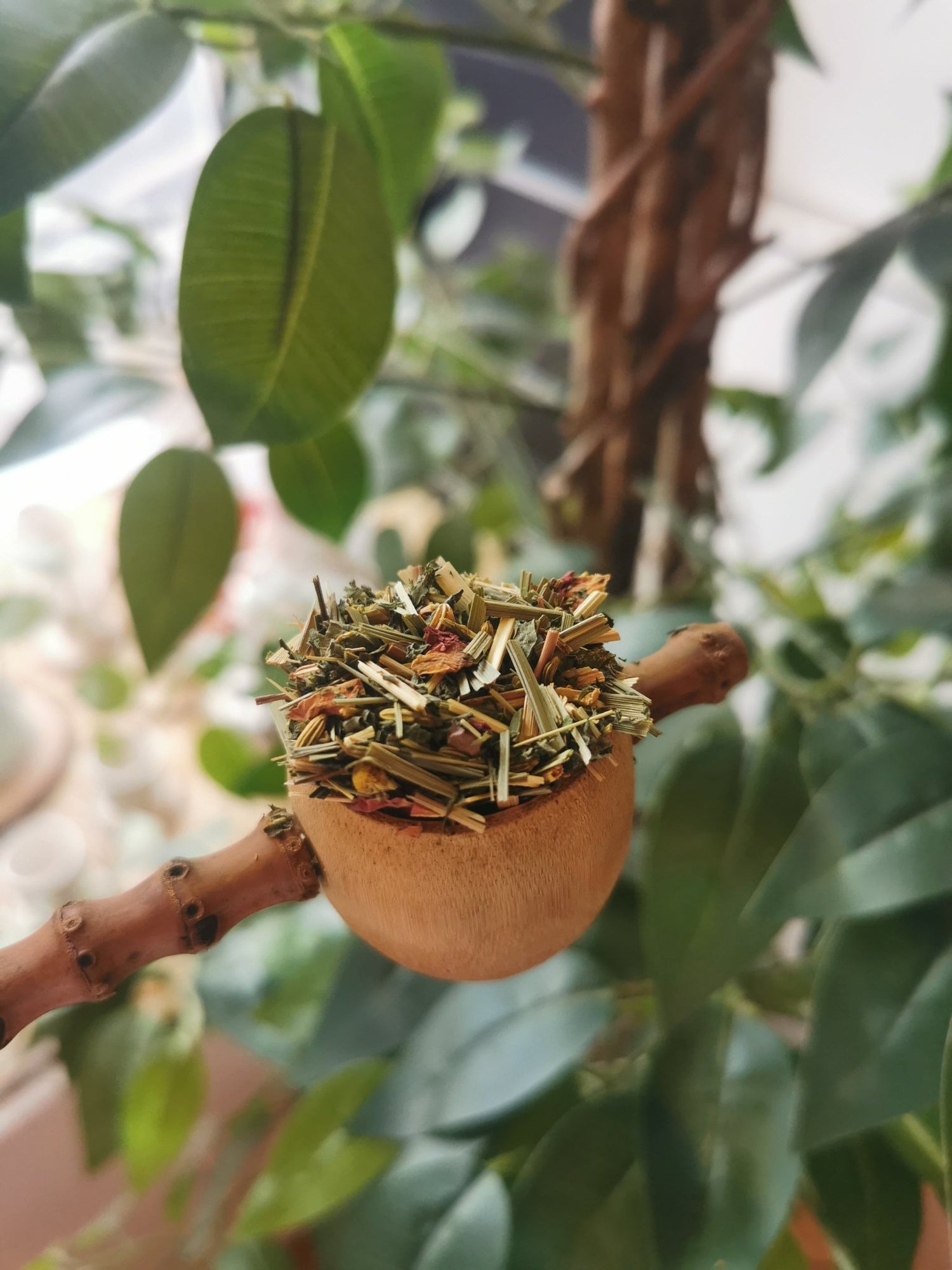 Herbal Blends - Meadow Tea