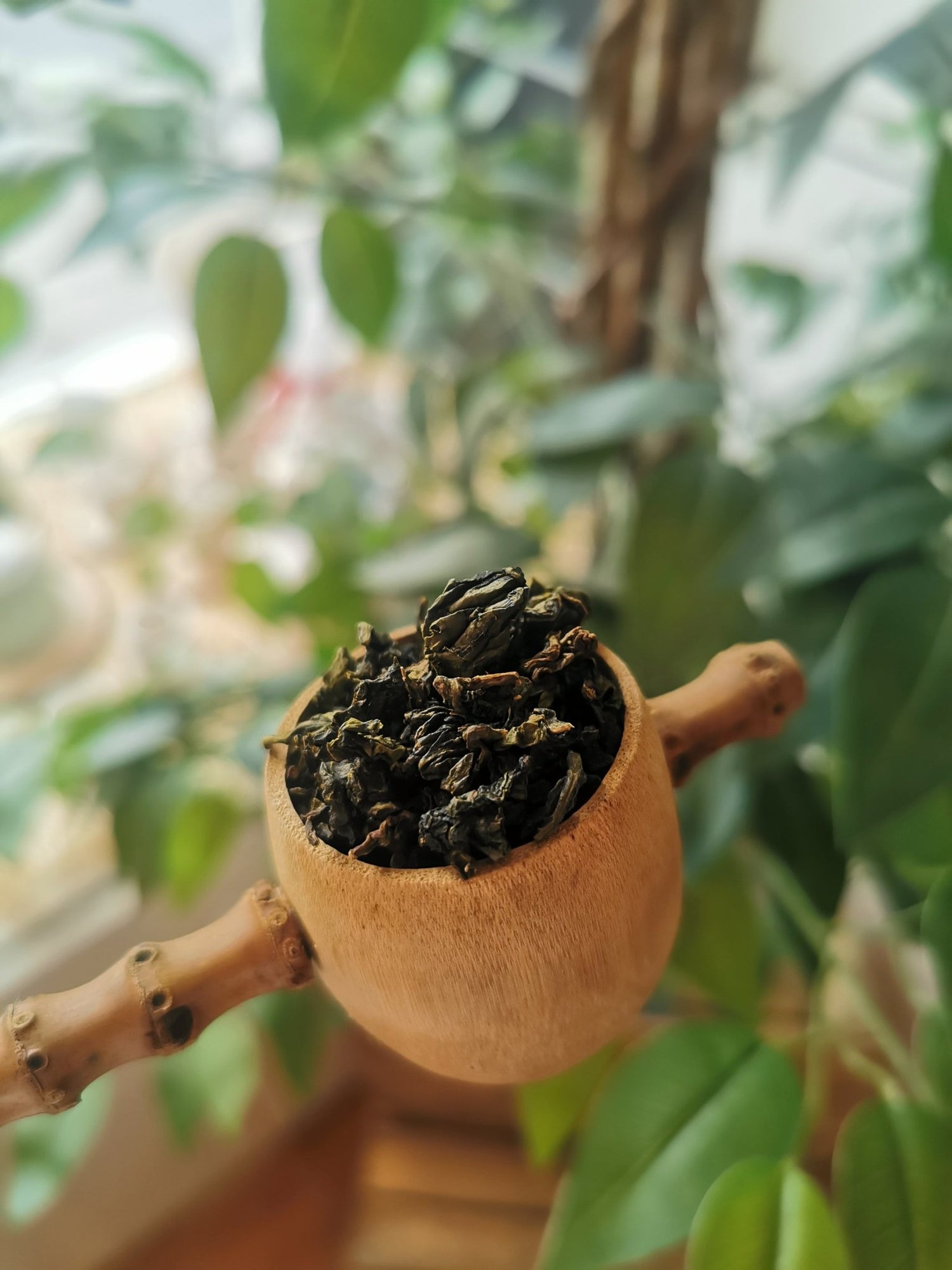 Oolong - Meadow Tea