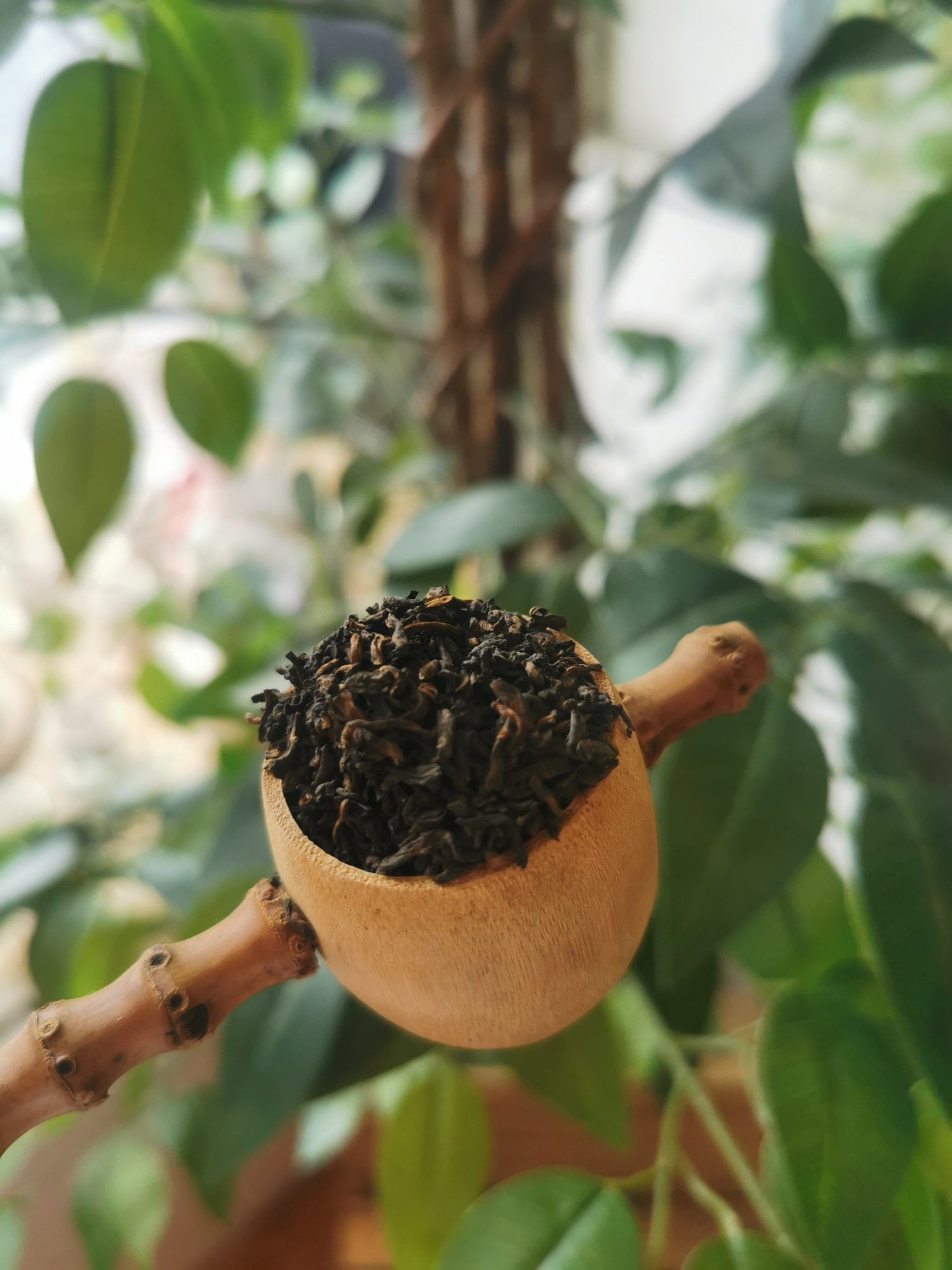 Pu Erh - Meadow Tea