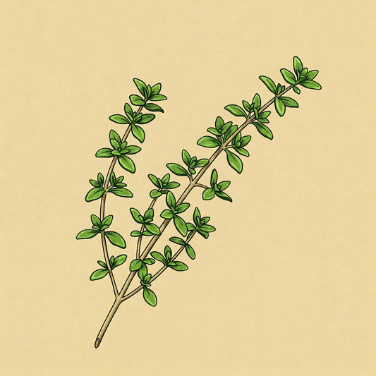 Thyme Rubbed - Meadow Tea